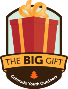 Big Gift Logo Compact